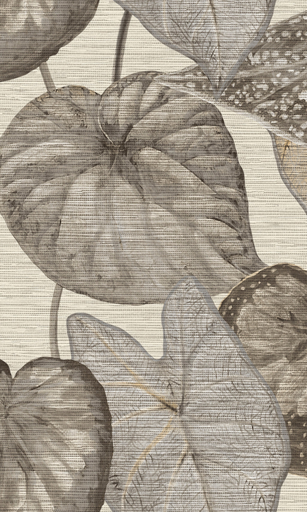 Tahiti White & Grey Tropical Leaves Wallpaper TA25050