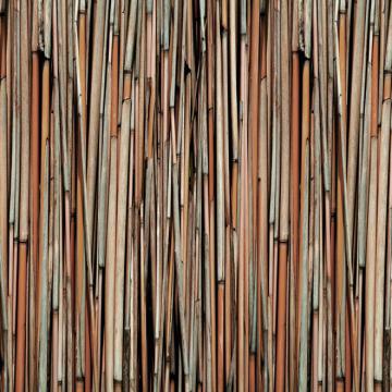 Quattro Bamboo Wallpaper 457018