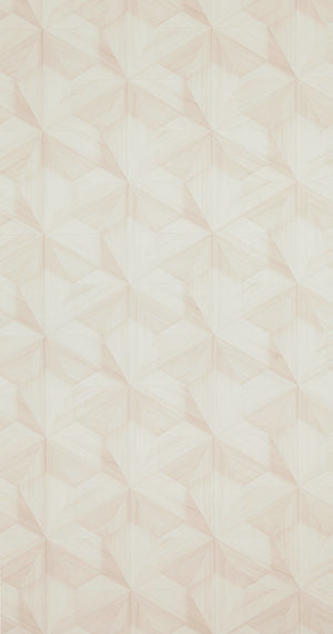Loft Wooden Hexagon Wallpaper 218414