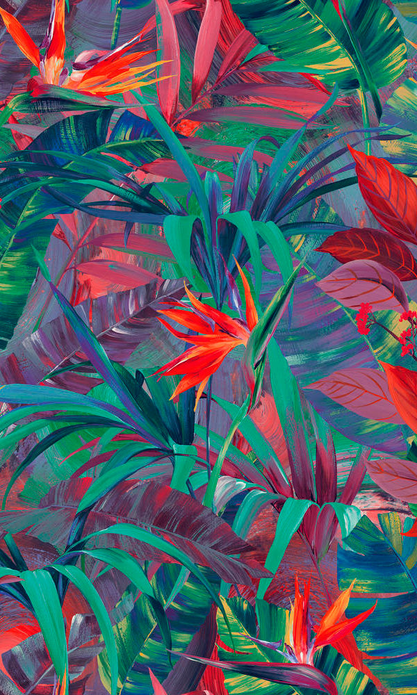 vibrant botanical wallpaper canada