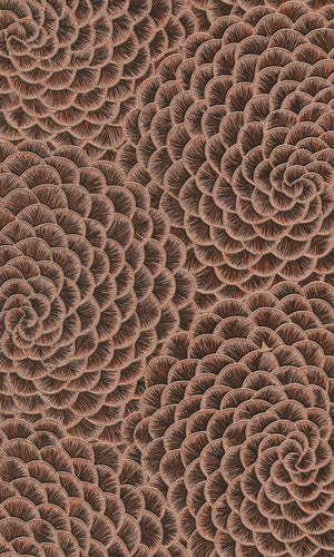 bold floral geometric wallpaper canada