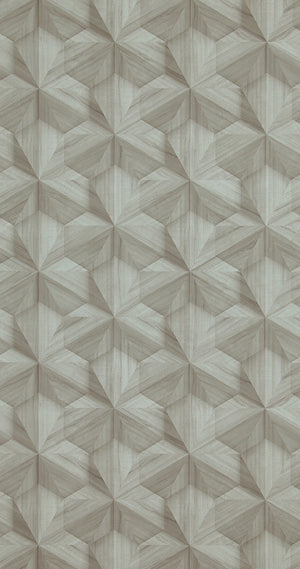 Loft Wooden Hexagon Wallpaper 218413