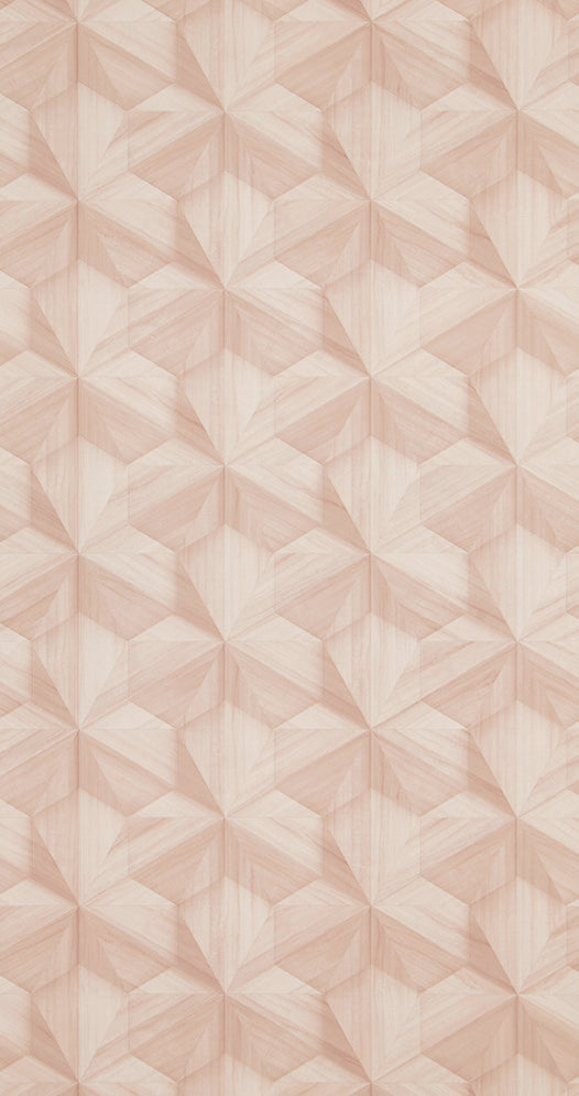 Loft Wooden Hexagon Wallpaper 218412