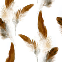 BOHEMIAN CHIC FLOATING FEATHERS WALLPAPER 2001034